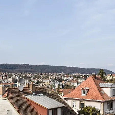L'eden D'alsace-bel Emplacement-confort-4 Pers Apartment