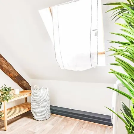 L'eden D'alsace-bel Emplacement-confort-4 Pers