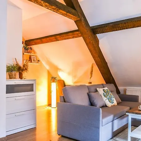 L'eden D'alsace-bel Emplacement-confort-4 Pers Apartment