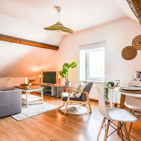 L'eden D'alsace-bel Emplacement-confort-4 Pers Apartmán *