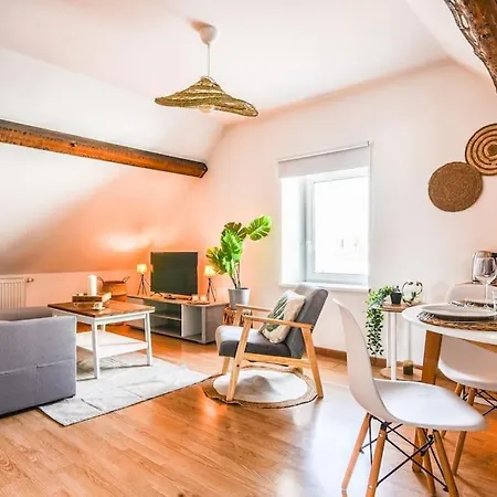L'eden D'alsace-bel Emplacement-confort-4 Pers Apartment *