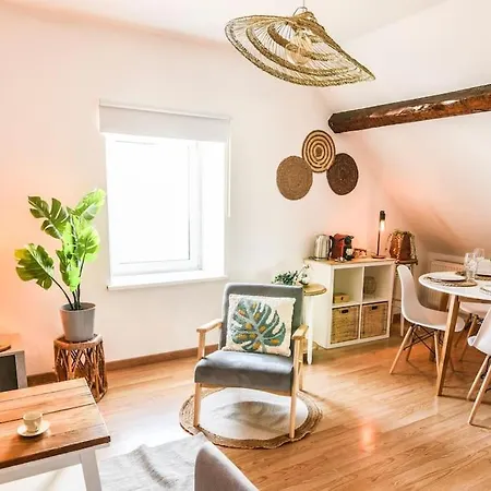 L'eden D'alsace-bel Emplacement-confort-4 Pers サヴェルヌ